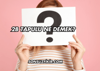 2B Tapulu Ne Demek?