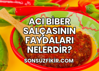 Acı Biber Salçasının Faydaları Nelerdir?