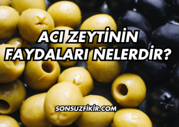 Acı Zeytinin Faydaları Nelerdir?