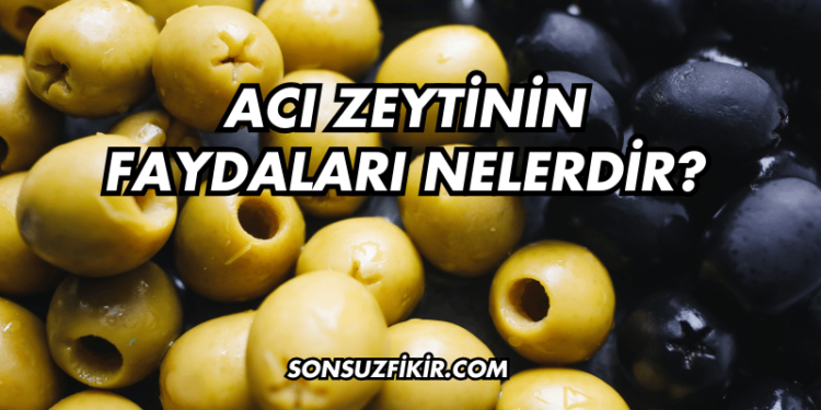 Acı Zeytinin Faydaları Nelerdir?