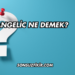 Angelic Ne Demek?