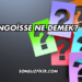 Angoisse Ne Demek?