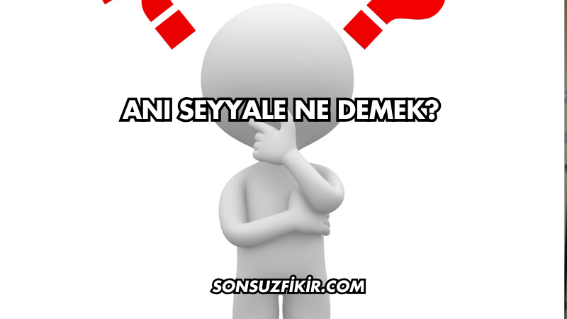 Anı Seyyale Ne Demek?