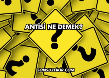 Antisi Ne Demek?