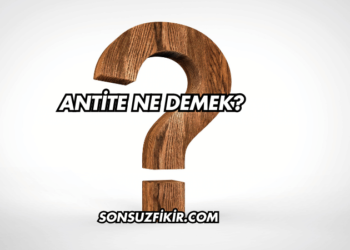 Antite Ne Demek?
