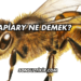 Apiary Ne Demek?