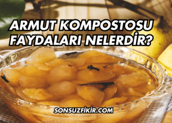Armut Kompostosu Faydaları Nelerdir?