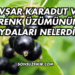 Avşar Karadut ve Frenk Üzümünün Faydaları Nelerdir?