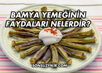 Bamya Yemeğinin Faydaları Nelerdir?