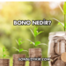 Bono Nedir?