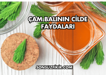 Çam Balının Cilde Faydaları