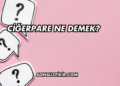 Ciğerpare Ne Demek?