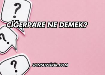 Ciğerpare Ne Demek?
