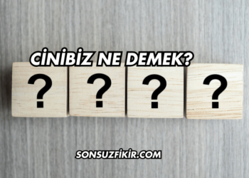 Cinibiz Ne Demek?