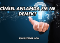 Cinsel Anlamda FM Ne Demek?