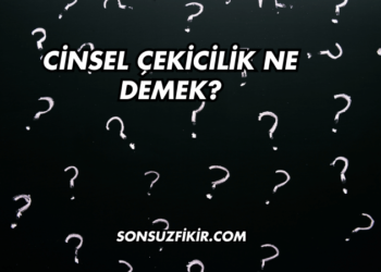 Cinsel Çekicilik Ne Demek?