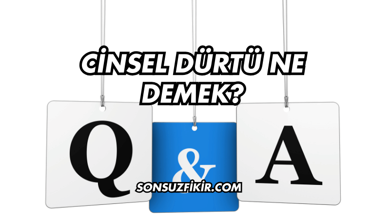 Cinsel Dürtü Ne Demek?