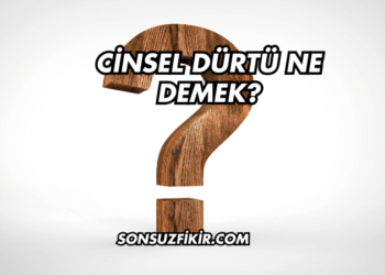 Cinsel Dürtü Ne Demek?