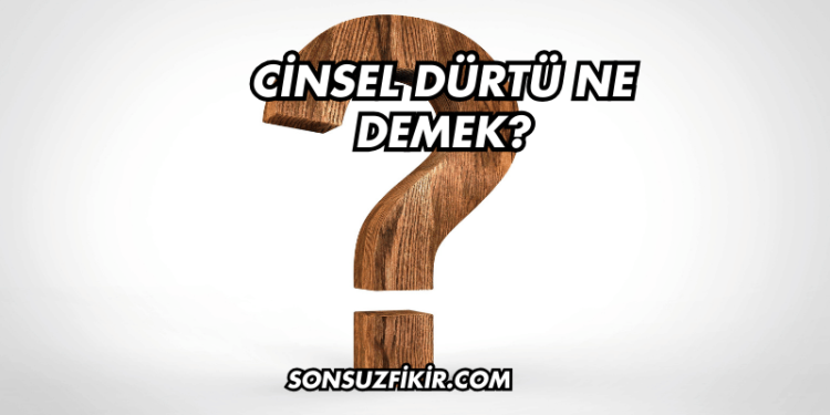 Cinsel Dürtü Ne Demek?