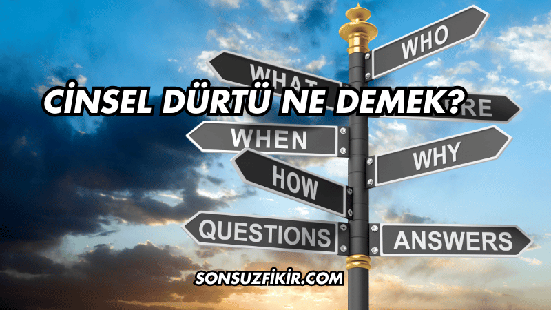 Cinsel Dürtü Ne Demek?