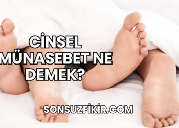 Cinsel Münasebet Ne Demek?