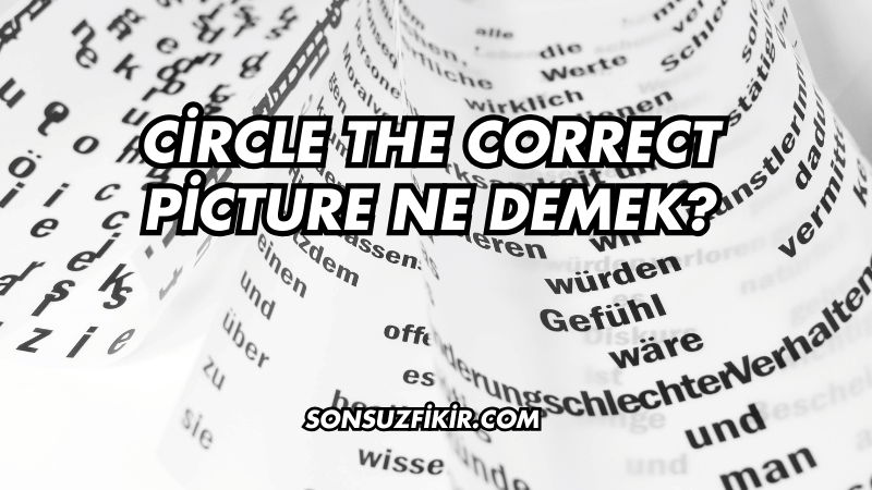 Circle the Correct Picture Ne Demek?
