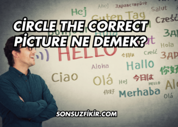 Circle the Correct Picture Ne Demek?