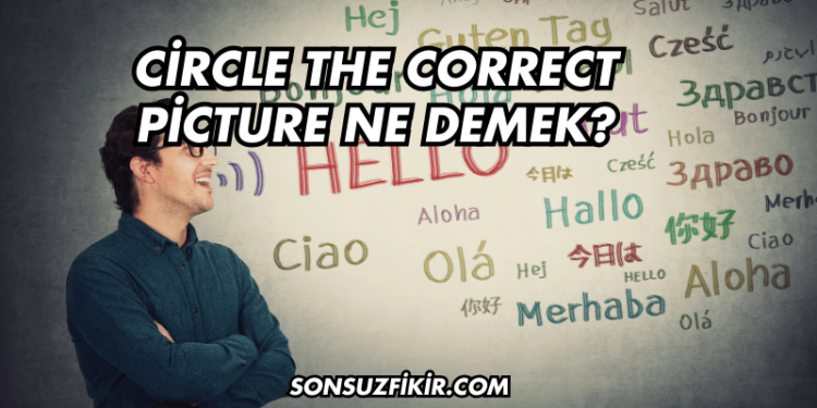 Circle the Correct Picture Ne Demek?