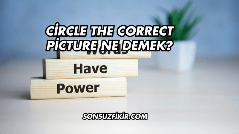 Circle the Correct Picture Ne Demek?