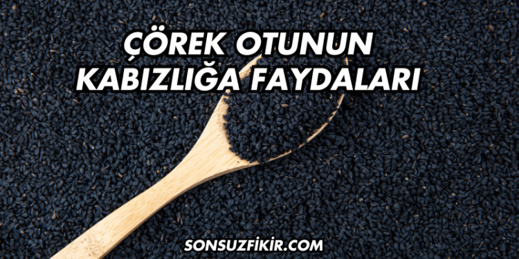 Çörek Otunun Kabızlığa Faydaları
