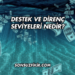 Destek ve Direnç Seviyeleri Nedir?