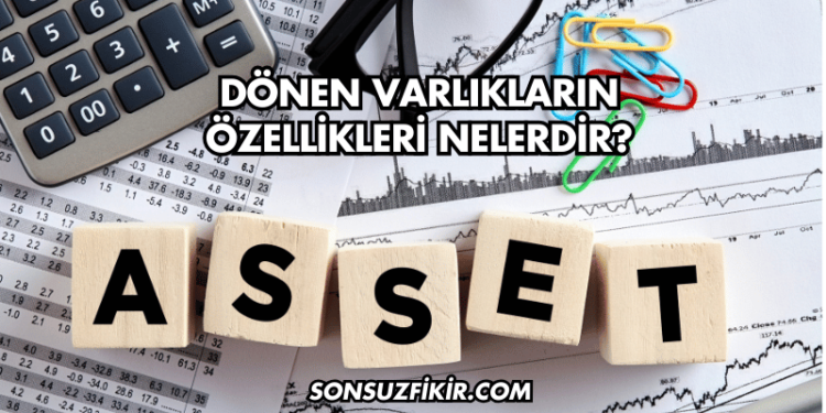 Dönen Varlıkların Özellikleri Nelerdir?