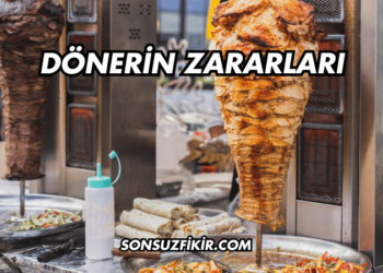 Dönerin Zararları