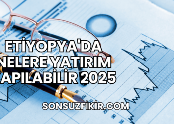 Etiyopya'da Nelere Yatırım Yapılabilir 2025