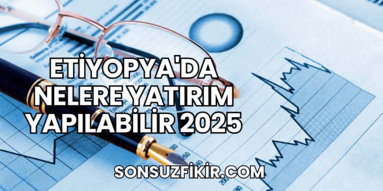 Etiyopya'da Nelere Yatırım Yapılabilir 2025