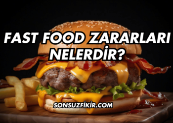 Fast Food Zararları Nelerdir?