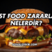 Fast Food Zararları Nelerdir?