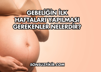 Gebeliğin İlk Haftaları Yapılması Gerekenler Nelerdir?