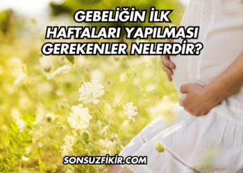 Gebeliğin İlk Haftaları Yapılması Gerekenler Nelerdir?