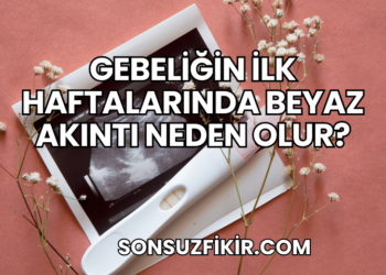 Gebeliğin İlk Haftalarında Beyaz Akıntı Neden Olur?