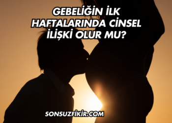 Gebeliğin İlk Haftalarında Cinsel İlişki Olur mu?