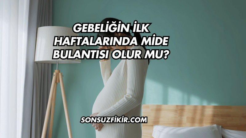 Gebeliğin İlk Haftalarında Mide Bulantısı Olur mu?