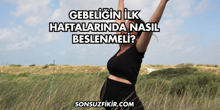 Gebeliğin İlk Haftalarında Nasıl Beslenmeli?