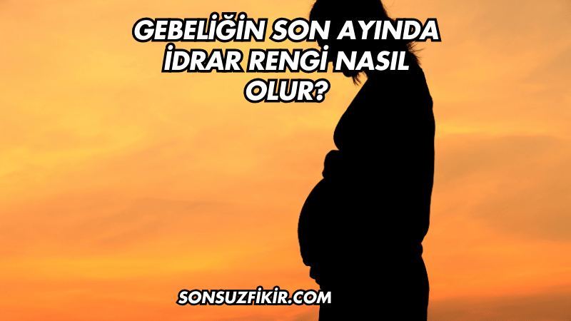Gebeliğin Son Ayında İdrar Rengi Nasıl Olur?