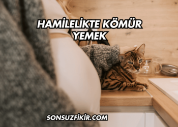 Hamilelikte Kömür Yemek