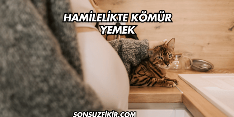 Hamilelikte Kömür Yemek