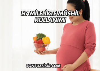 Hamilelikte Müshil Kullanımı