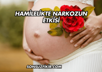 Hamilelikte Narkozun Etkisi