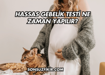 Hassas Gebelik Testi Ne Zaman Yapılır?