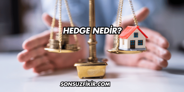 Hedge Nedir?